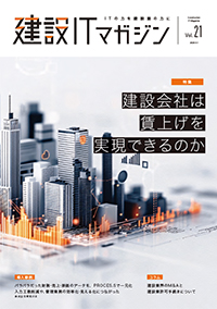 Vol.20
